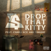 Drop That Kitty
