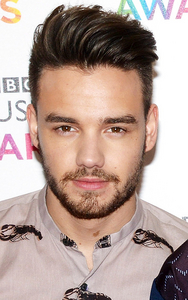 Liam Payne Rejoices in Success After Famous One Direction Break Up