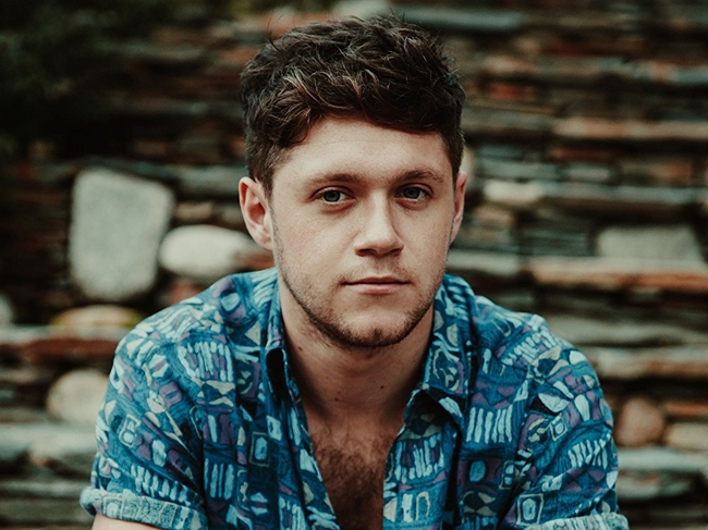 Niall Horan and Maren Morris Team Up On New Acoustic Track Called "Seeing Blind"