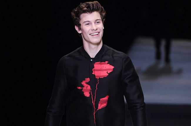 Shawn Mendes Impresses Everyone with Amazing VMA Performance