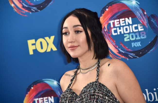 Check Out Noah Cyrus's Latest Music Video